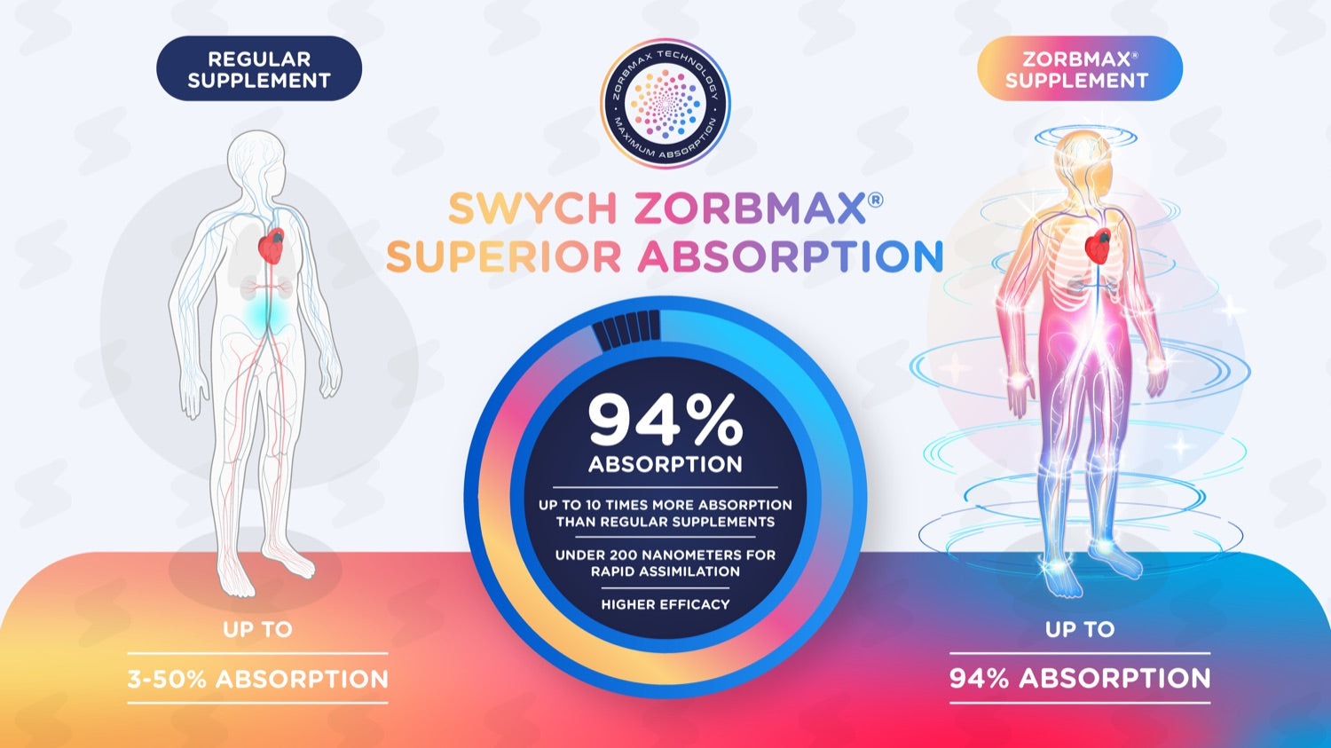 Regular supplement absorption compared with ZorbMax absorption